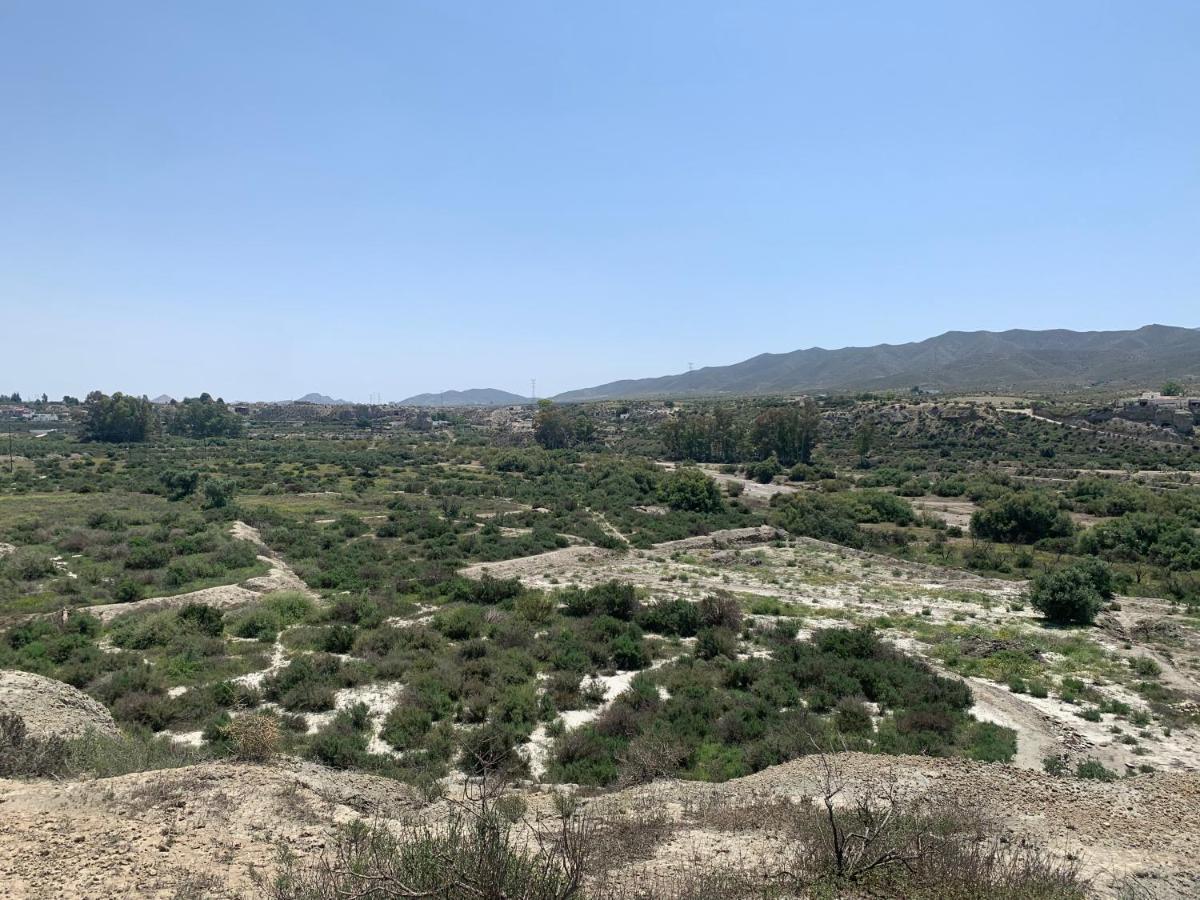 Las Casas Rurales De Los Olivos Tabernas Ngoại thất bức ảnh